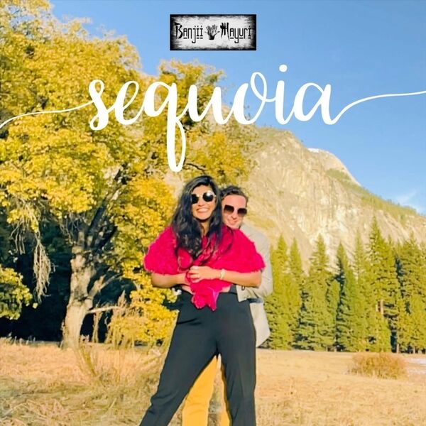 Cover art for Sequoia
